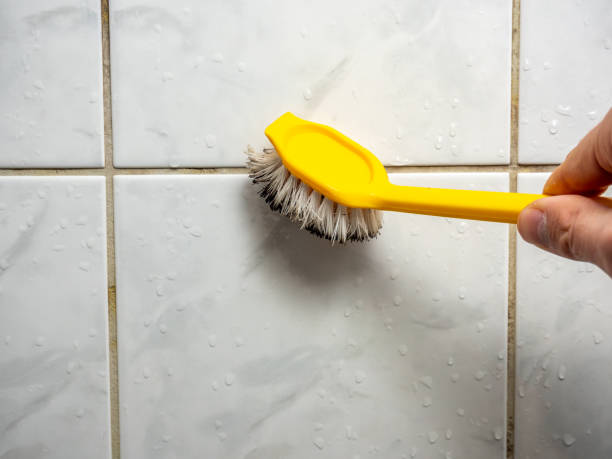 Best Office Mold Removal Services  in Aspen Hill, MD