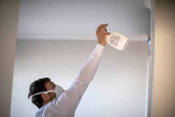 Professional Mold Removal in Aspen Hill, MD