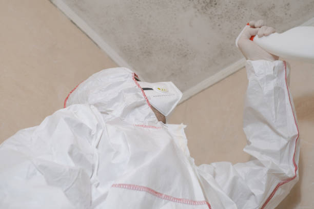 Best Mold Removal Company Near Me  in Aspen Hill, MD