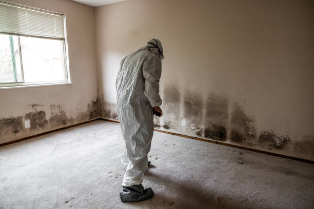 Water Damage Restoration in Aspen Hill, MD
