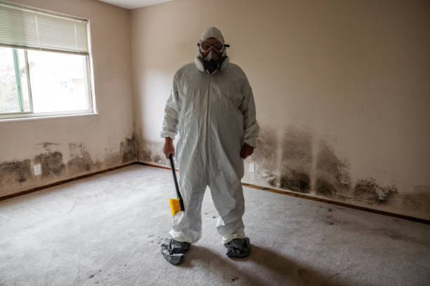 Best Commercial Mold Removal  in Aspen Hill, MD